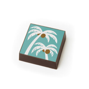 Coconut (9)